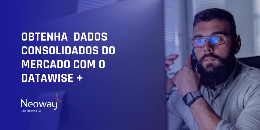 Obtenha dados consolidados do mercado com o DataWise